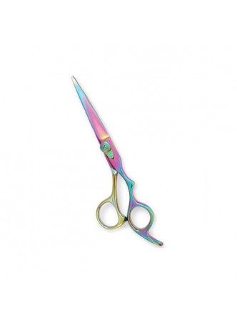 Professional Hair Cutting Scissors